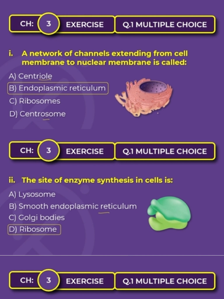 Exercise # 3332 The Cell | PDF