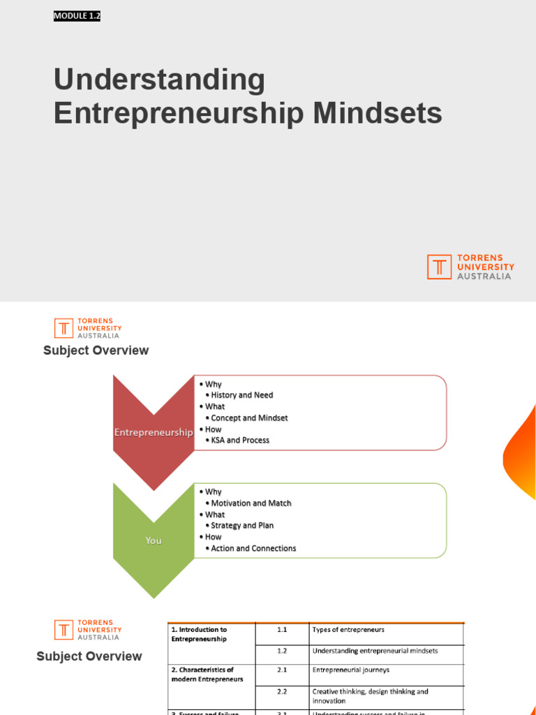 Entrepreneurial Mindsets Explained | PDF | Entrepreneurship | Cognition