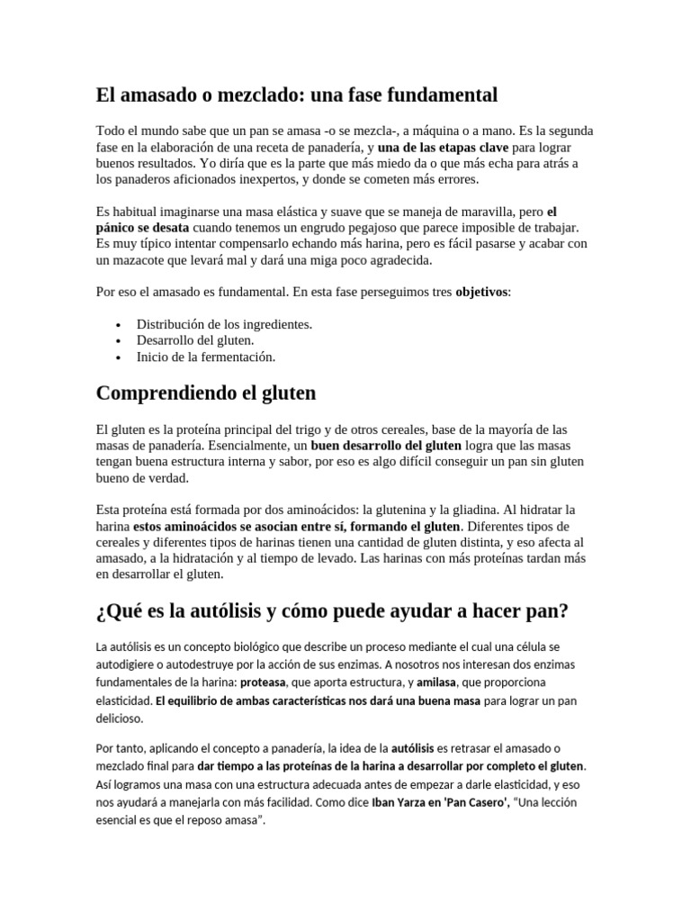 Autolisis: Clave en el Amasado de Pan | PDF | Panes | Gluten
