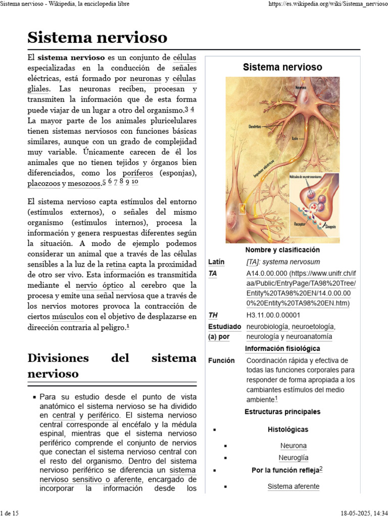 Estructura y función del sistema nervioso | PDF | Sinapsis | Sistema ...