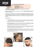 Burst Fade | PDF | Pelo