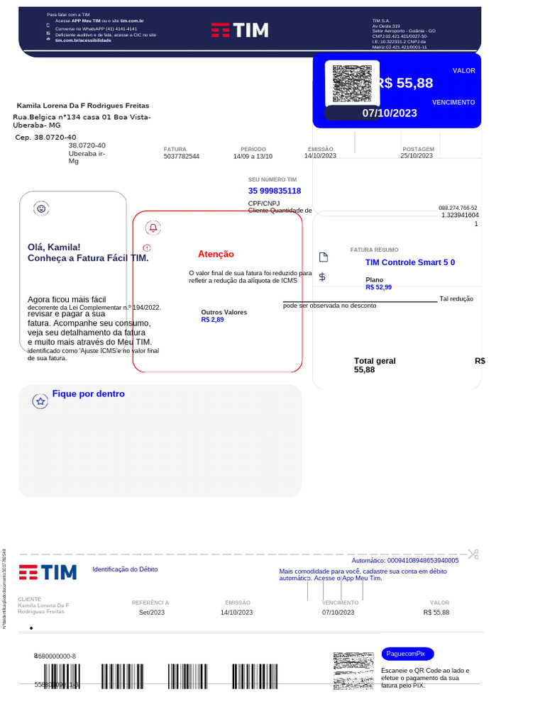 Contato e Fatura TIM: Informações Importantes | PDF | Pagamentos ...