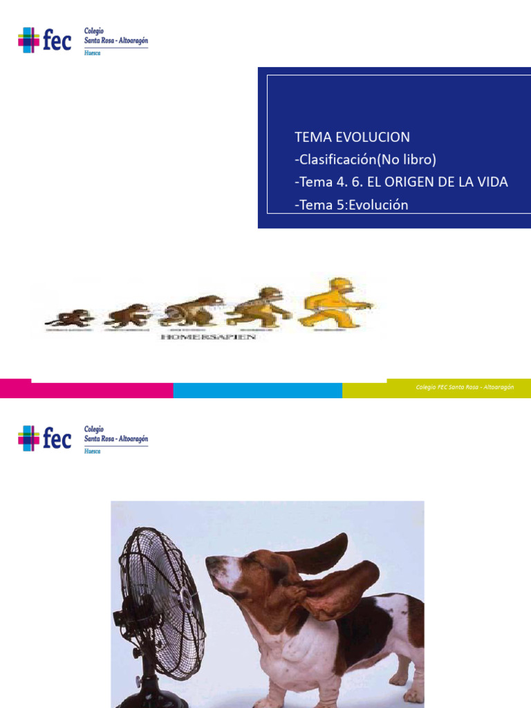 Evolución y Origen de la Vida en FEC | PDF | Evolución | Seleccion natural