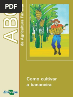 Como Cultivar Bananeira