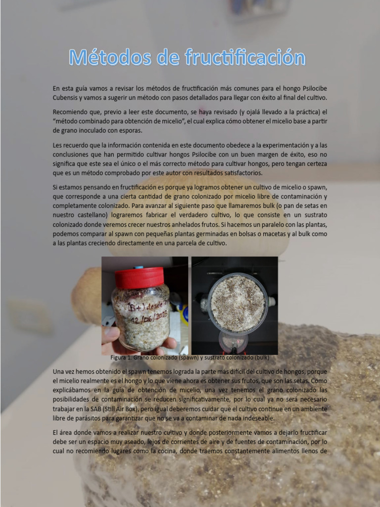 Métodos de Fructificación | PDF | café | Agua