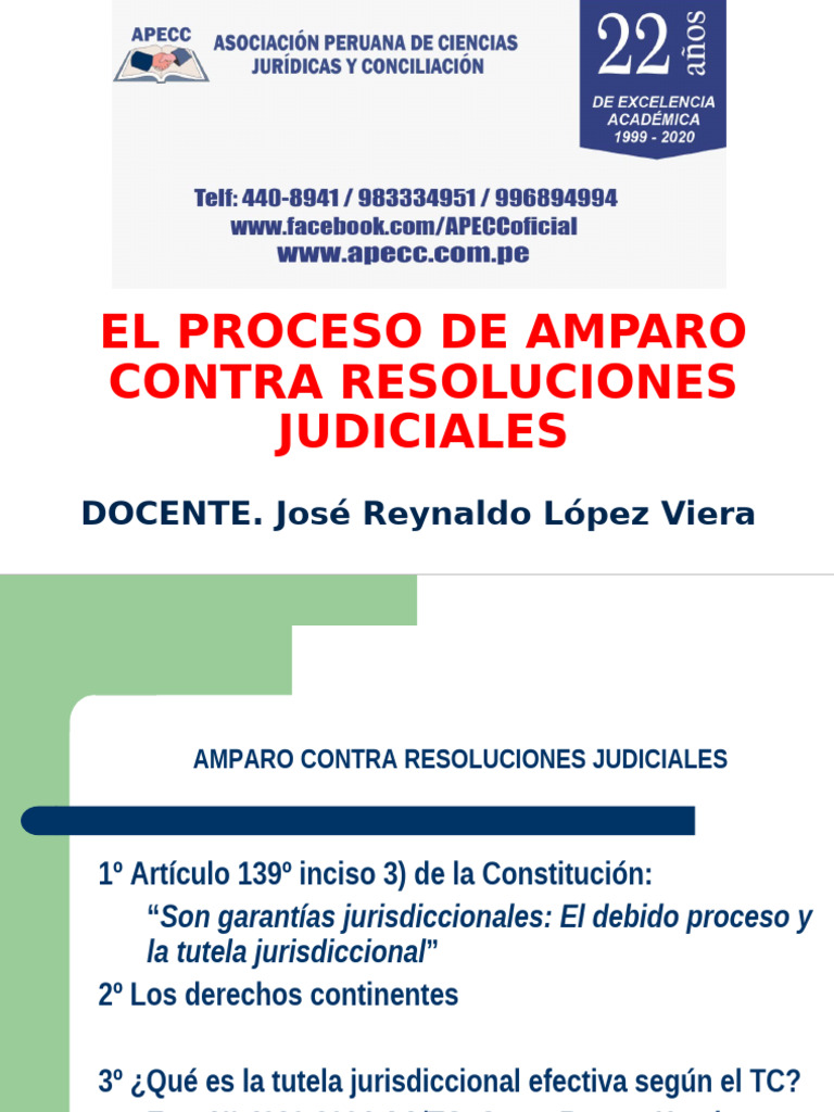 EL PROCESO DE AMPARO CONTRA RESOLUCIONES | PDF