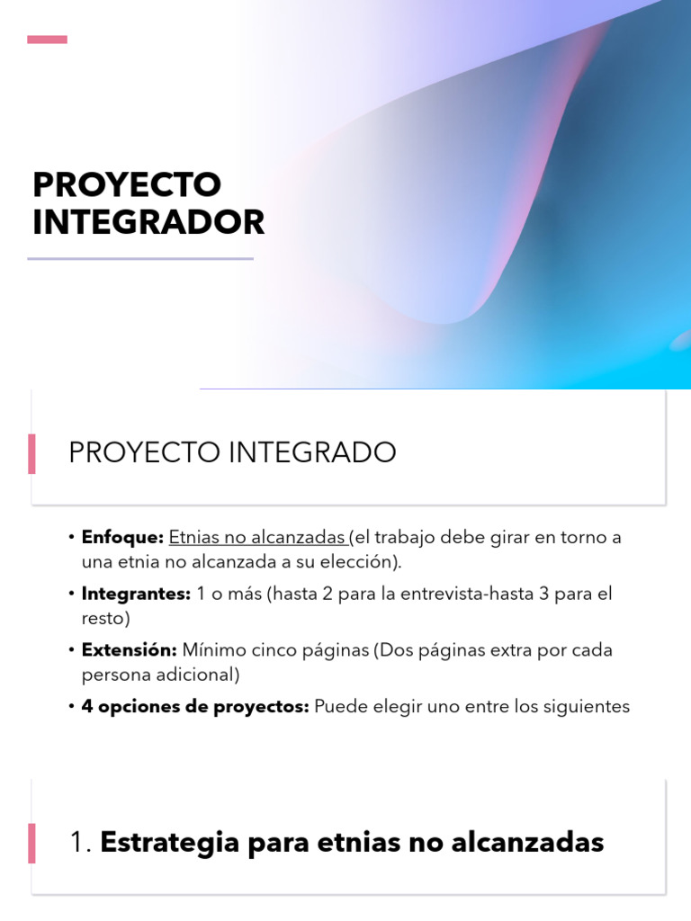 Proyecto Integrador Guía | PDF