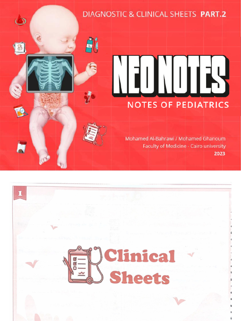 NeoNotes (Sheets) - 1 - 231108 - 081110 | PDF