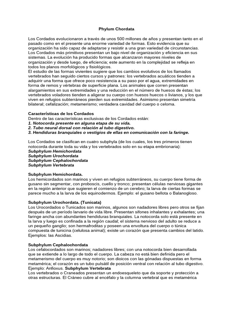 Phylum Chordata | PDF | Vertebrados | Zoología