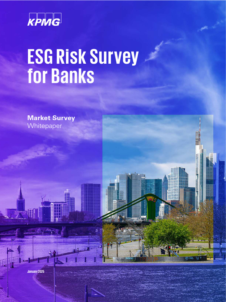 ESG Risk Management Insights for Banks | PDF | Risk | Stress Test ...