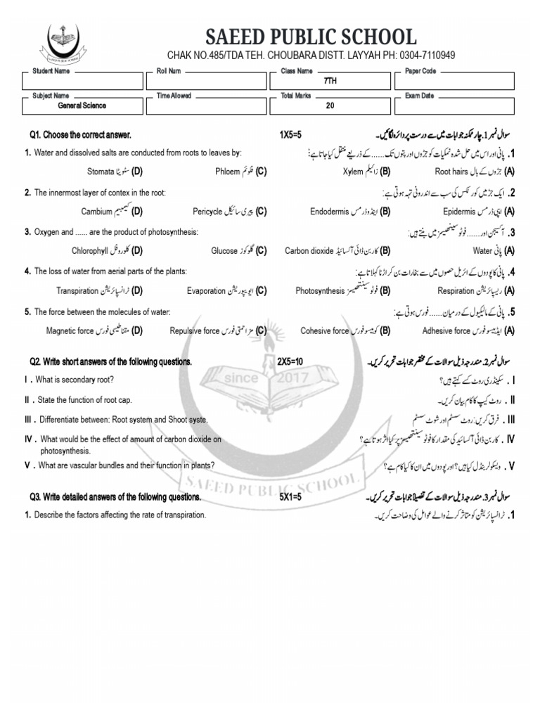 7th Class Test | PDF