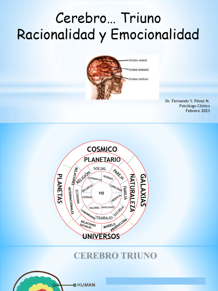 Cerebro Triuno: Racionalidad y Emociones | PDF | Las emociones | Cerebro