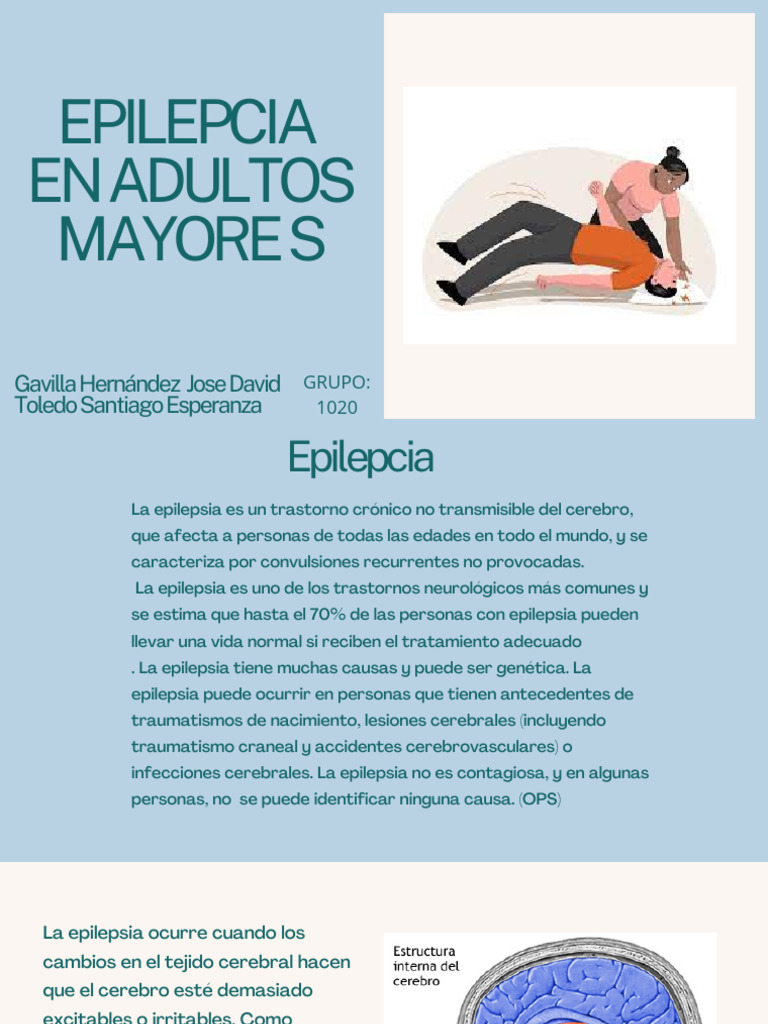 Epilepsia en Adultos Mayores | PDF | Epilepsia | Carrera
