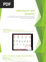Genetics And Heredity Overview Pdf Genetics Heredity