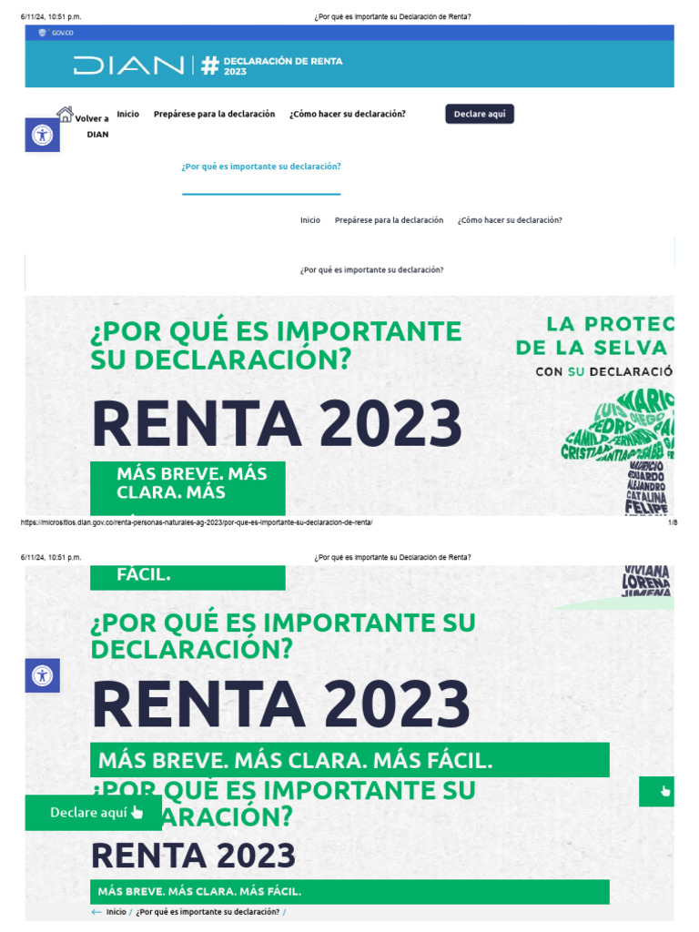 Importancia de la Declaración de Renta | PDF | Datos | Seguridad nacional