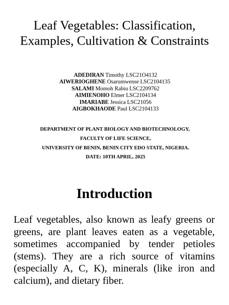 Leaf Vegetables Presentation 1 | PDF | Vegetables | Lettuce