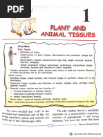 Class 9 Tissues Notes by Prashant Kirad | PDF | Epithelium | Muscle