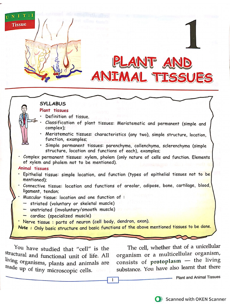 Class 7 Chapter 1 Biology | PDF