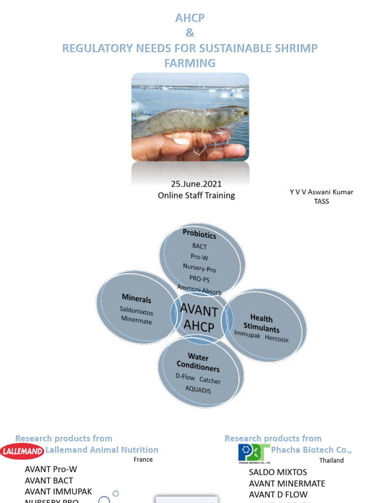 Sustainable Shrimp Farming Solutions | PDF | Aquaculture | Probiotic