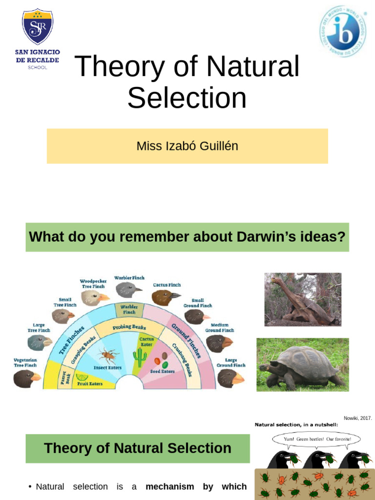 7_Theory_of_Natural_Selection | PDF