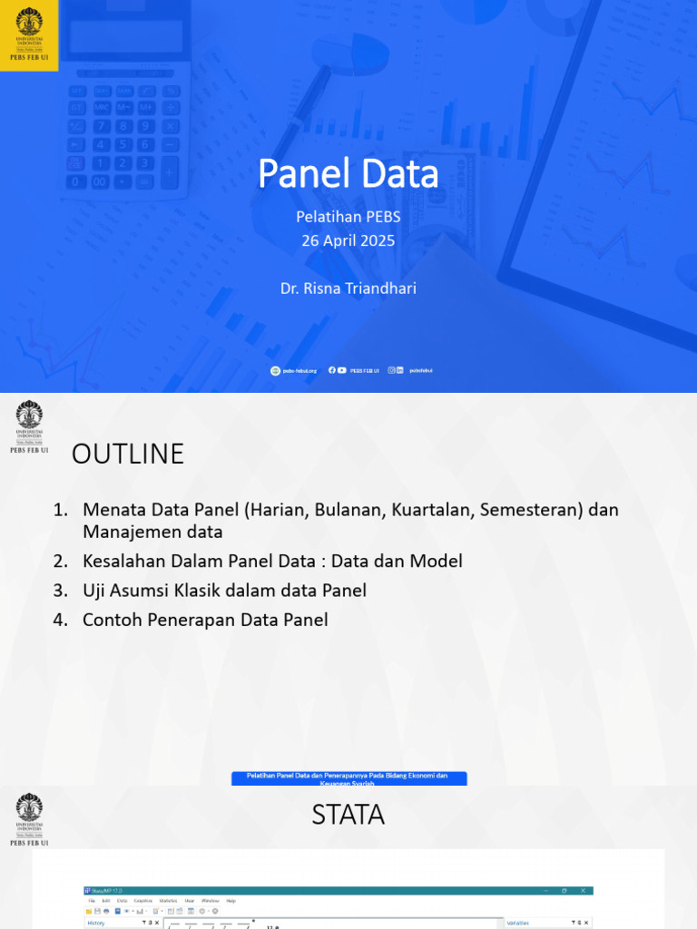 Pelatihan Data Panel oleh Dr. Risna | PDF