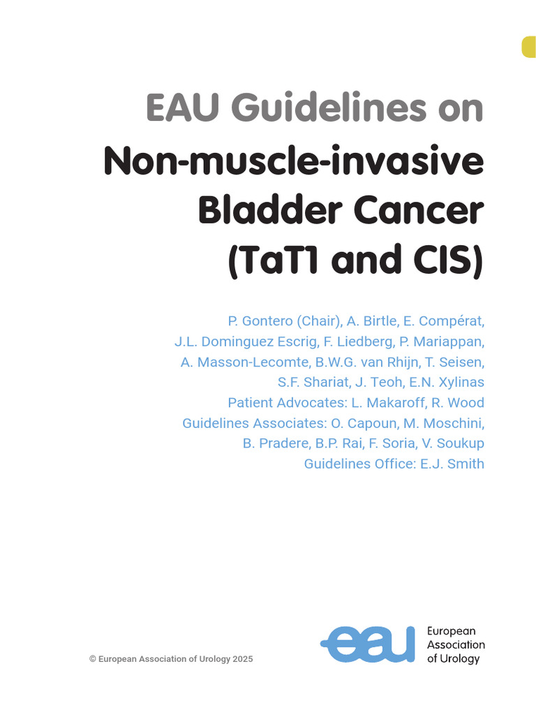 EAU Guidelines: Non-Muscle-Invasive Bladder Cancer | PDF | Evidence ...