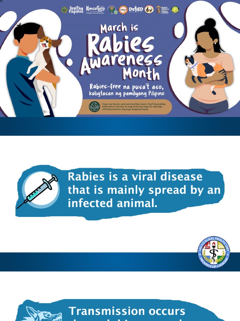 Rabies Exposure: Pet Owner Guidelines | PDF | Rabies | Leash