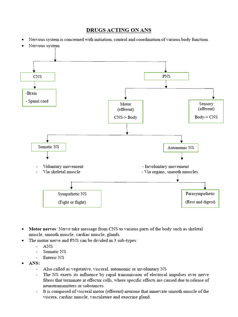 Overview of Autonomic Nervous System Drugs | PDF | Acetylcholine ...