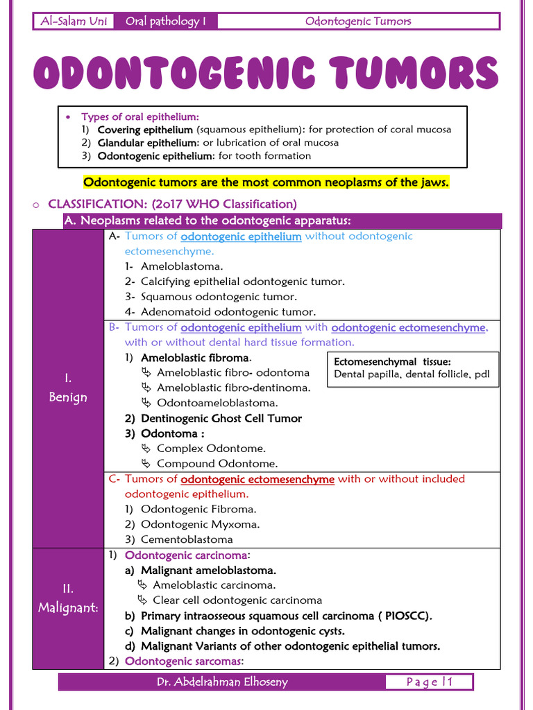 Odontogenic Tumors Overview and Classification | PDF | Epithelium ...