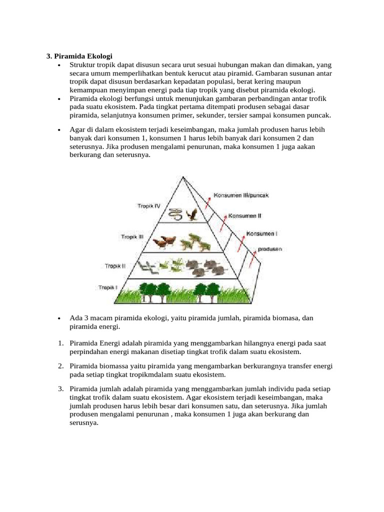Piramida ekologi | PDF