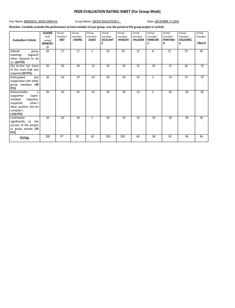 Group Work Peer Evaluation Sheet | PDF