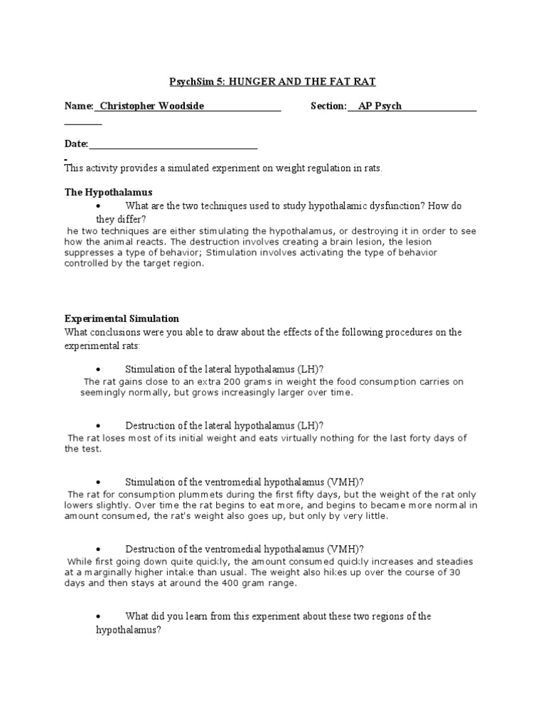 Hunger and the fat rat essay 07 image