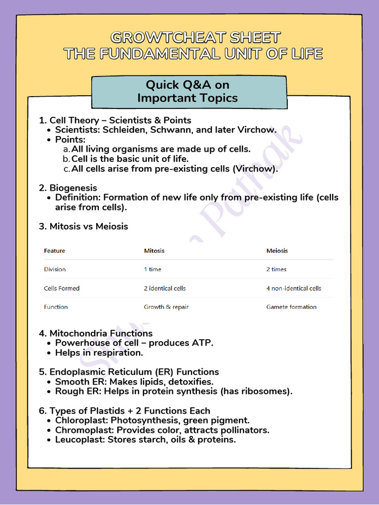 Quick Guide to Cell Structure & Function | PDF | Cell (Biology ...