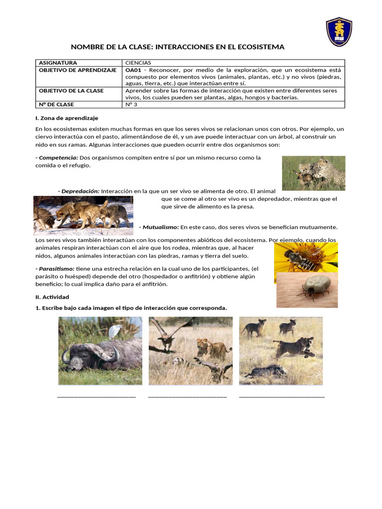CLASE 3 ECOSISTEMAS | PDF