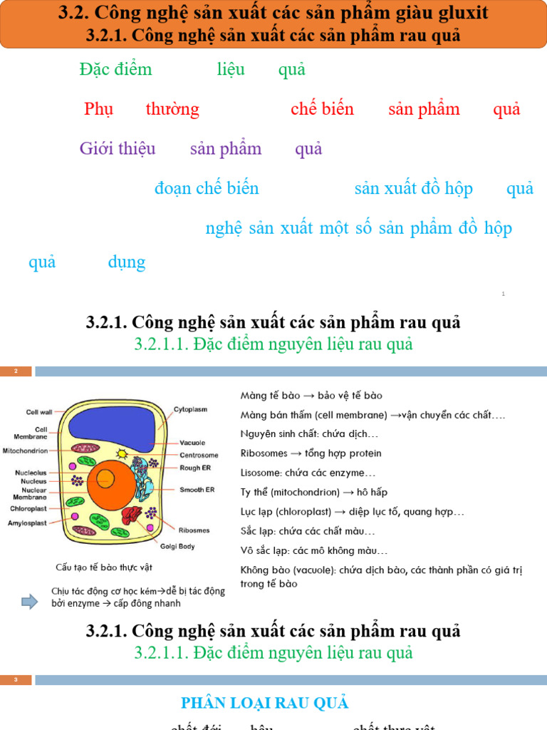 Chương 3. Kì 20232 CN SX Rau Qu | PDF