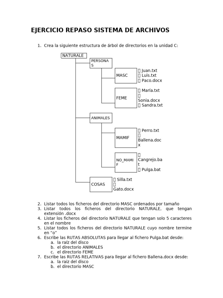 Ejercicio de Estructura de Archivos en C | PDF | Archivo de computadora ...