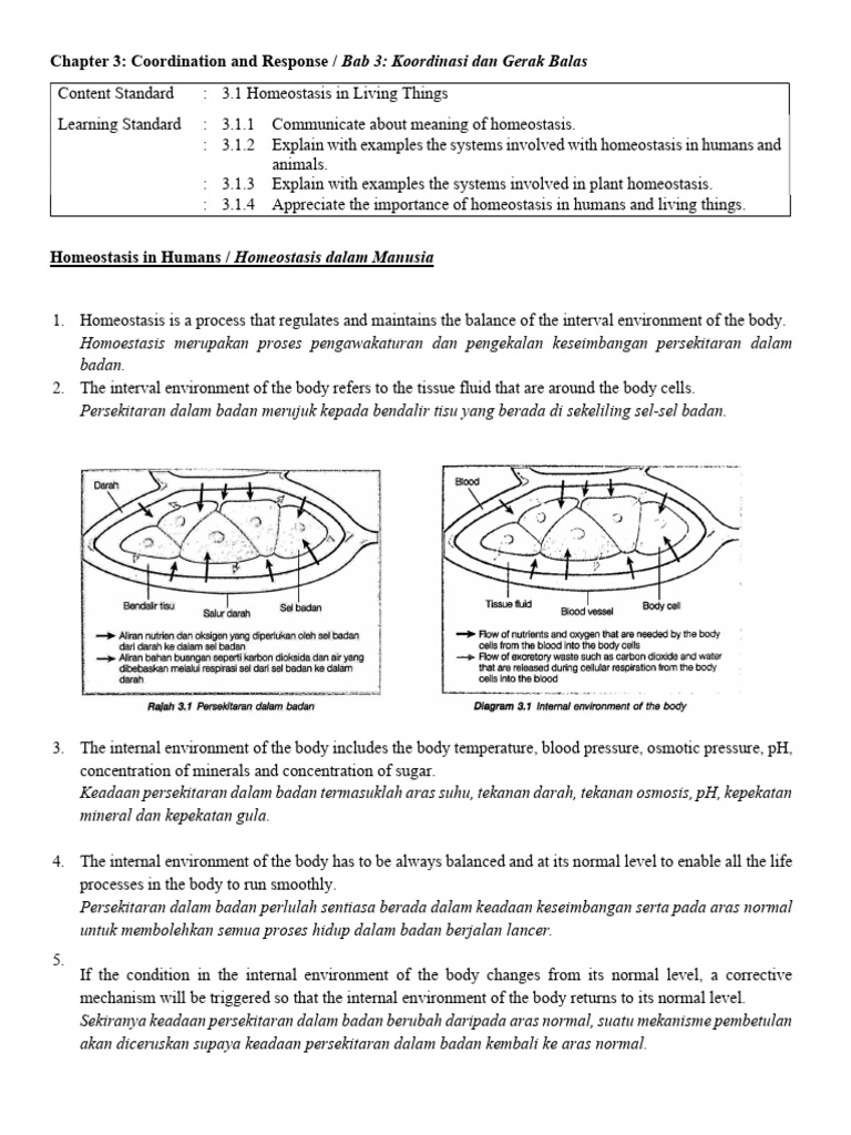Homeostasis and Water Regulation in Humans | PDF | Stoma | Homeostasis