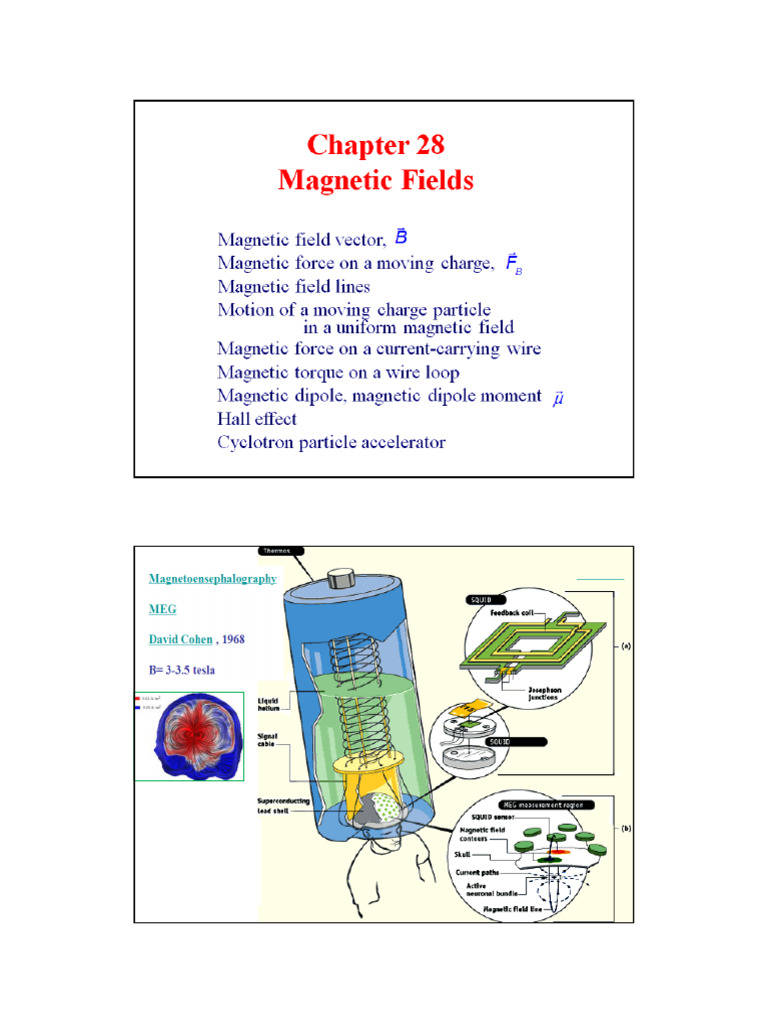 Magnetic Field Updated 2025 | PDF | Electron | Magnetism