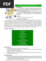 Sistemas de Classificação