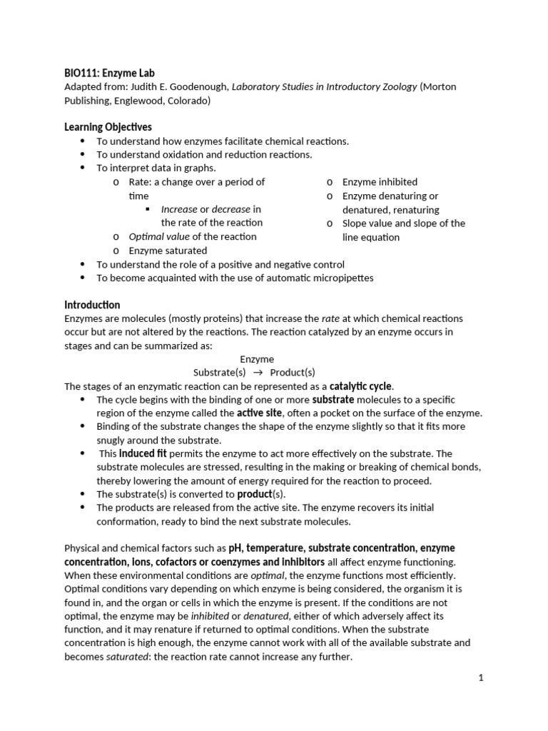BIO111 Lab 6 Enzymes - 101020 Mab Modified | PDF | Enzyme | Chemical ...