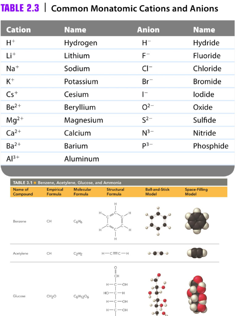 Name Structure | PDF