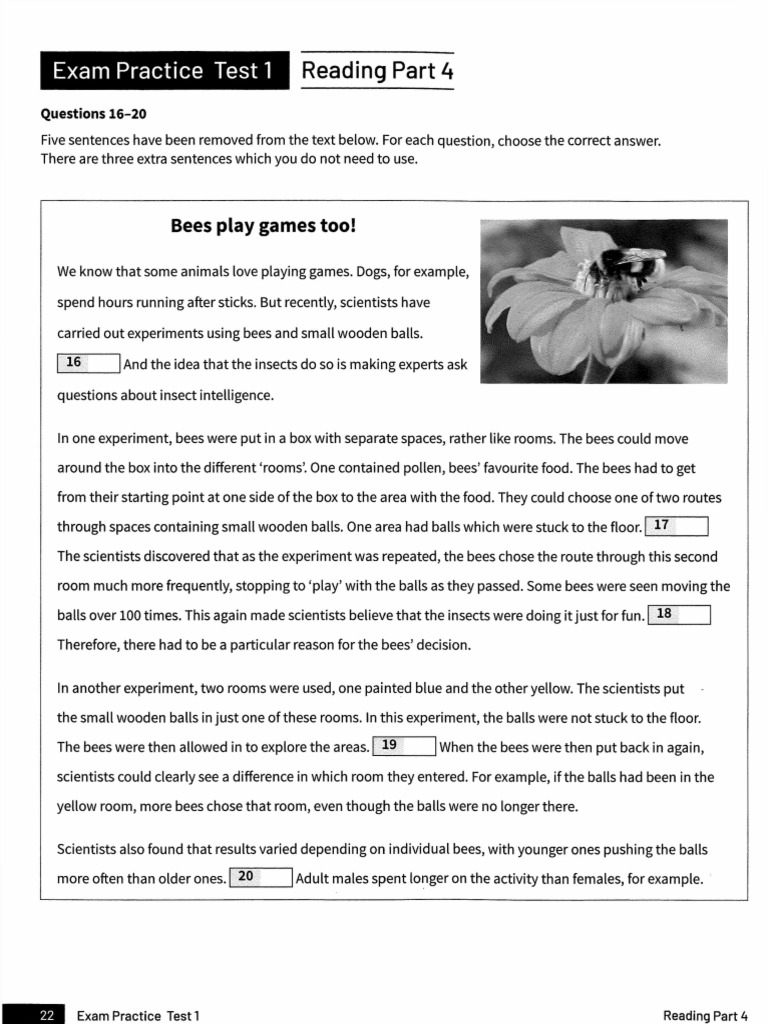 Pet Reading Trainer Test 1 Part 4 Pdf