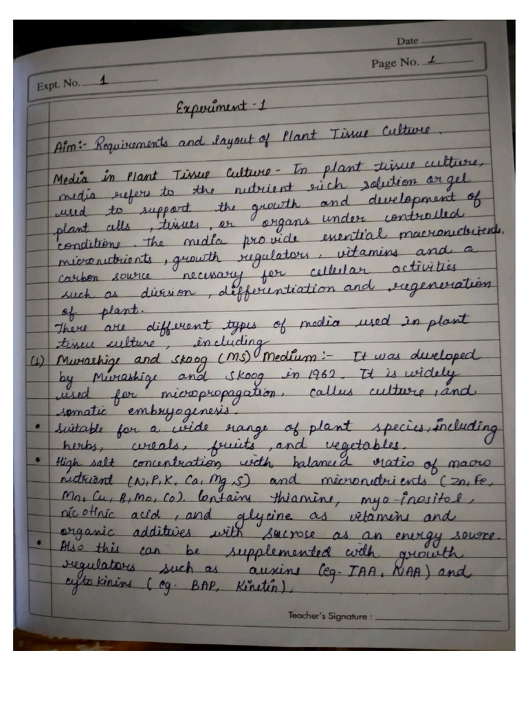 Plant BT File | PDF