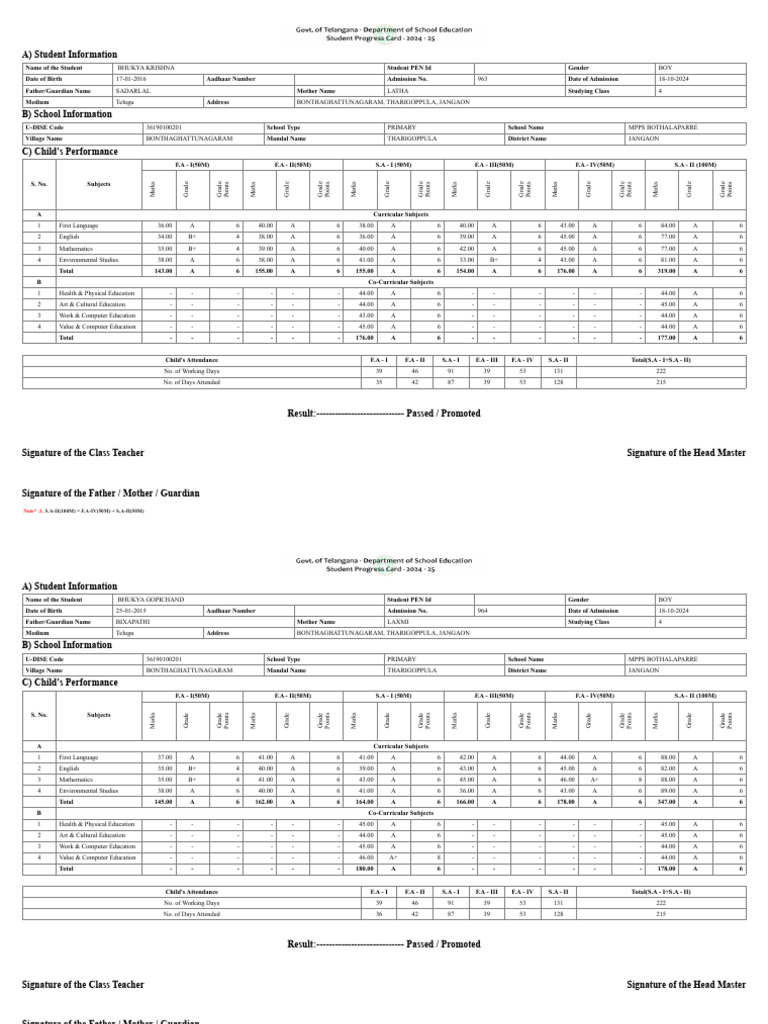 Student Performance Report - Class 4 | PDF