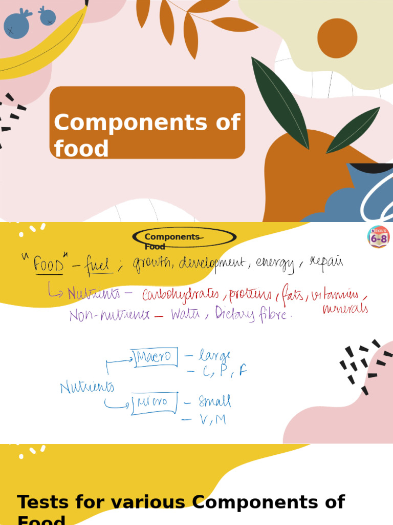 Essential Nutrients in Food Explained | PDF | Foods | Vitamin