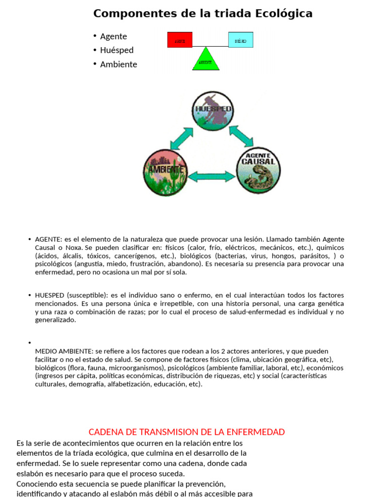 Elementos de la Triada Ecológica | PDF | Agua | Alimentos