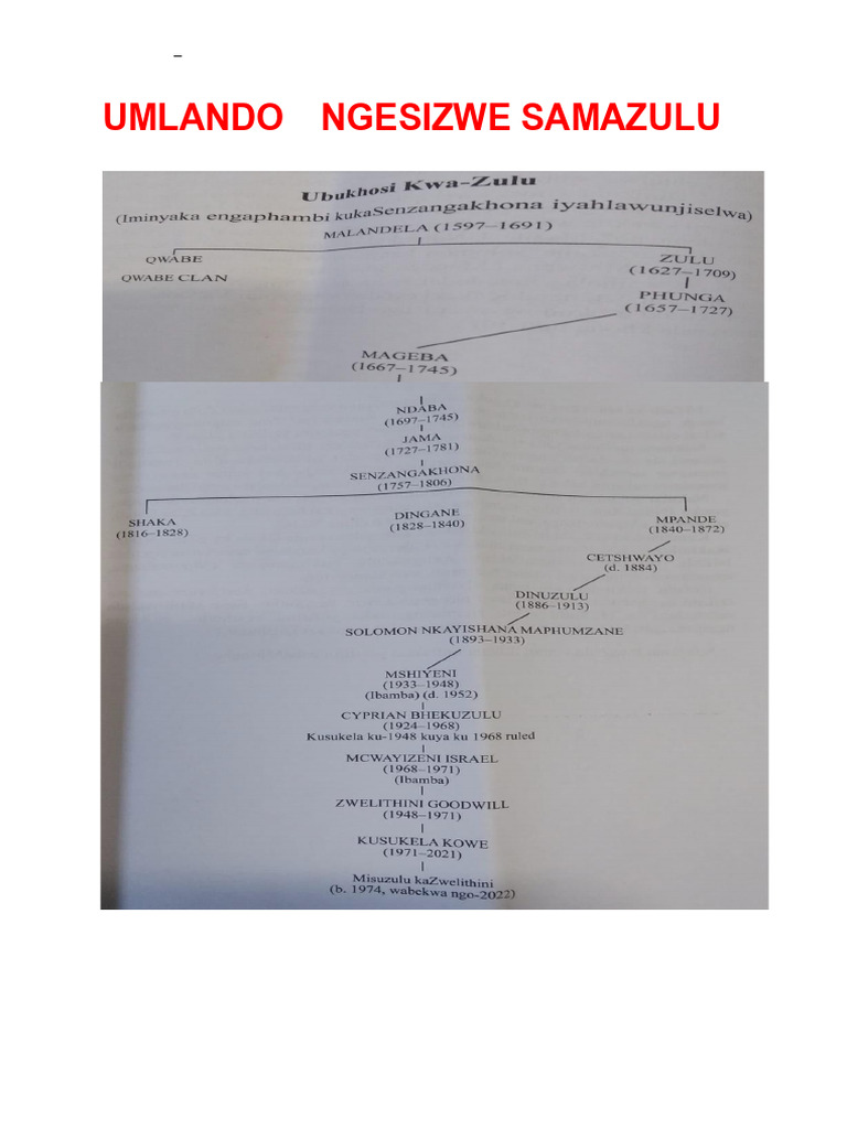 History of the Zulu Kingdom | PDF | Languages Of Africa | Languages
