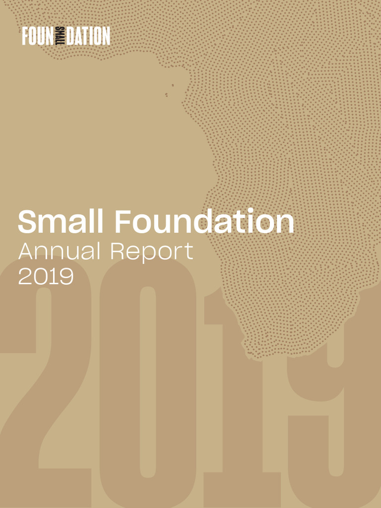 2019 Small Foundation Financial Audit Report | PDF | Audit | Going Concern