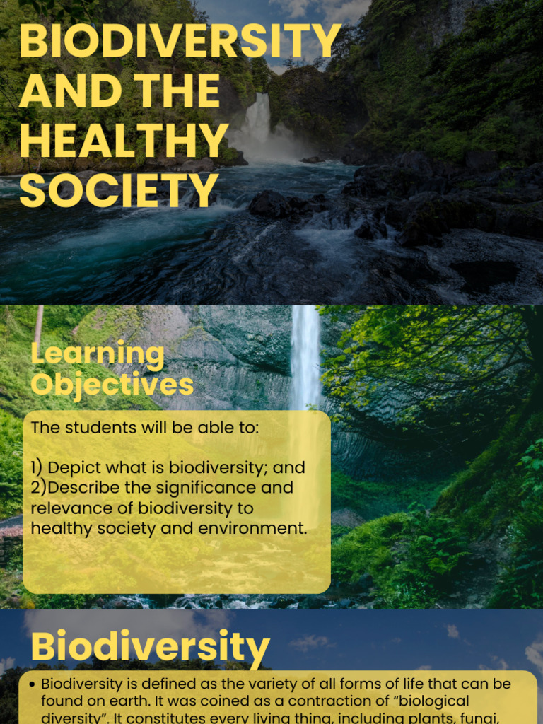 Importance of Biodiversity for Health | PDF | Biodiversity | Genetic ...