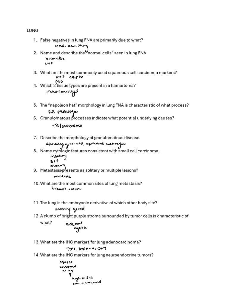 Study Gui Ude Questions | PDF | Thymus | Kidney